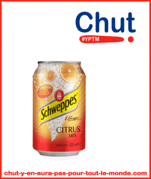 achat en gros Schweppes citrus mix boite 33cl