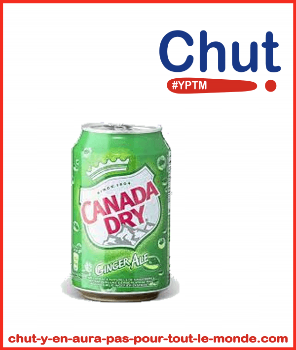 Cannette-Canada-Dry-33CL